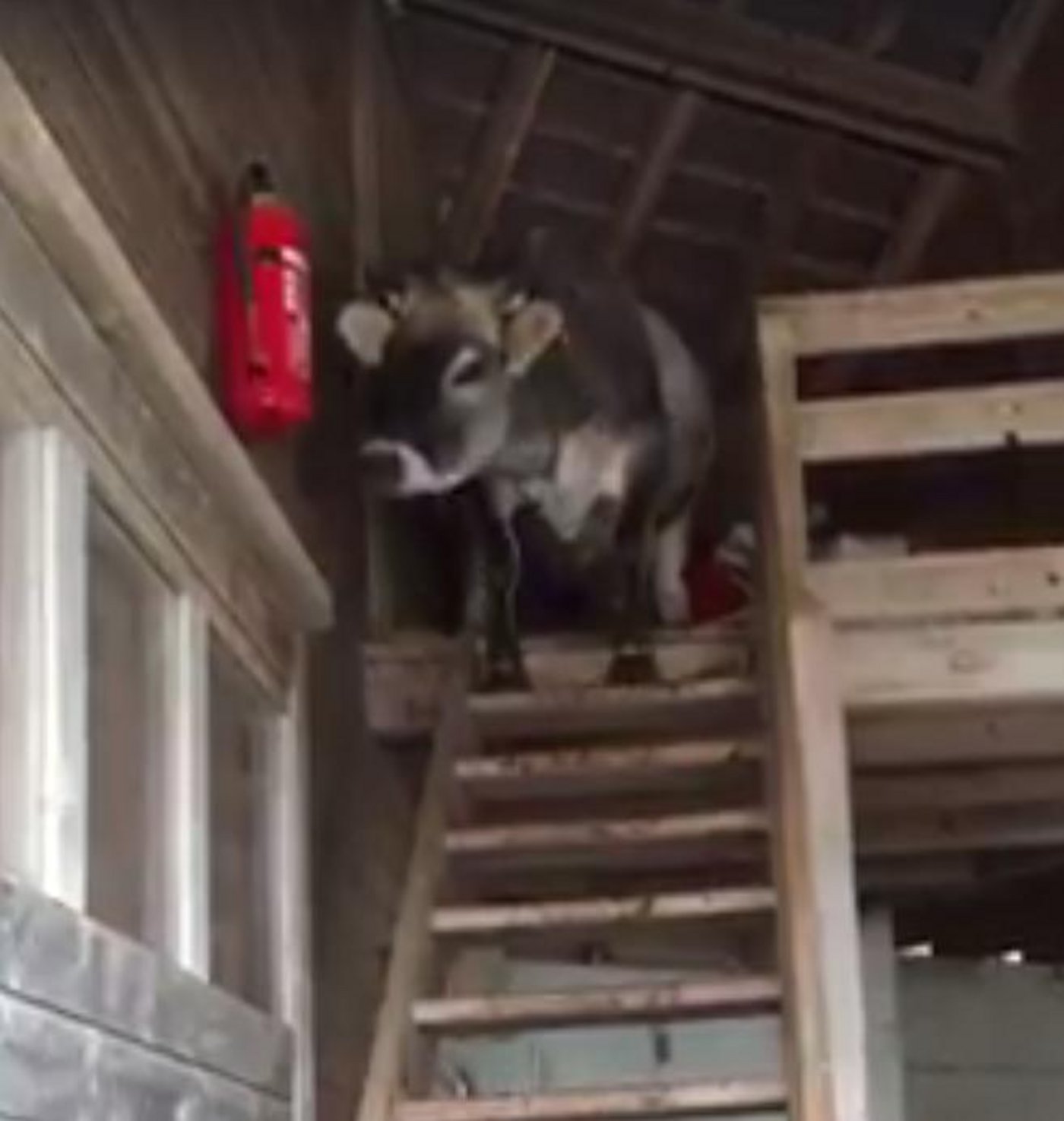 Oben an der Treppe: Und was nun? (Bild Screenshot Facebook)