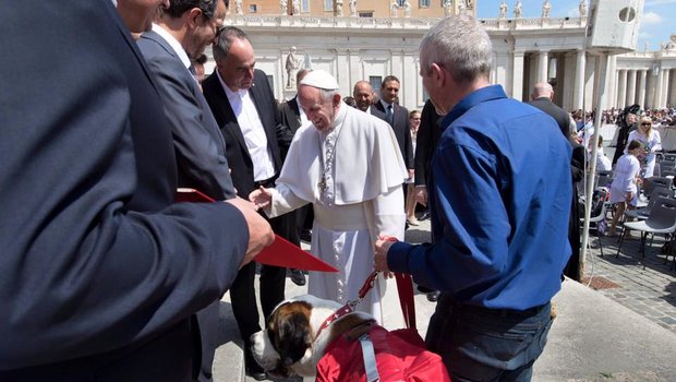 Der Papst war hingerissen von dem 70-kg-Hund. (Bild Massimo Pedrazzini)