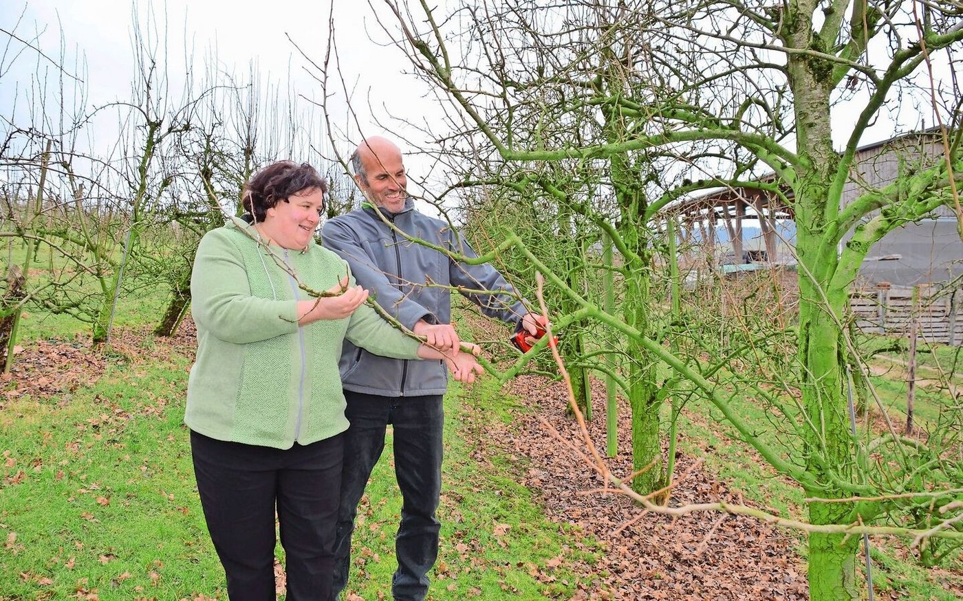 Gemeinsam arbeiten: Susanne und Andreas Hedinger beim Schneiden der Obstbäume. 