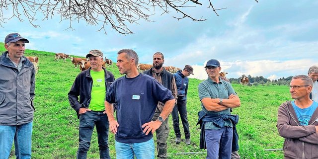 Peter Heller (im blauen Pullover) zeigte seinen Weidemilch-Kollegen die Weiden auf dem Betrieb Hinter-Oberberg in Willisau LU.