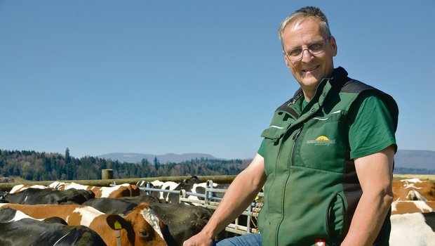 Die Herde hinter sich scharen: Bio-Milchproduzent Thomas Grüter wäre parat, bei den Zentralschweizer Milchproduzenten eine wichtige Rolle zu übernehmen.(Bild aem)