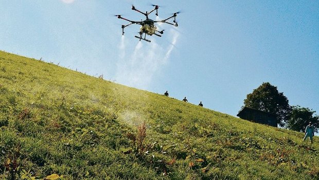 Ressourceneffiziente Ressourceneffizientes Digitalprojekt in den Kinderschuhen: Blackenspritzen mit Drohnen, hier ein Versuch mit Flächenbehandlung im Entlebuch im Jahr 2019.