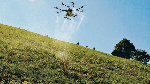 Ressourceneffizientes Digitalprojekt in den Kinderschuhen: Blackenspritzen mit Drohnen, hier ein Versuch mit Flächenbehandlung im Entlebuch im Jahr 2019.