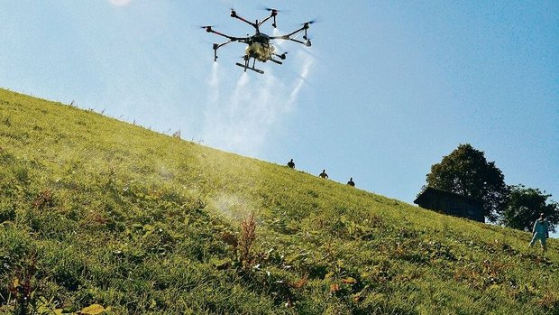 Ressourceneffiziente Ressourceneffizientes Digitalprojekt in den Kinderschuhen: Blackenspritzen mit Drohnen, hier ein Versuch mit Flächenbehandlung im Entlebuch im Jahr 2019.