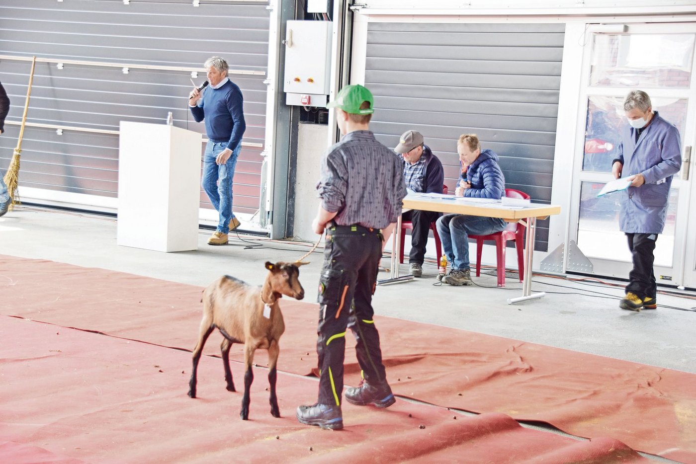 Das schöne Gitzi, angeboten von Daniel und Monika Hirschi-Aeschlimann aus Eggiwil war einem Käufer 220 Franken Wert. 