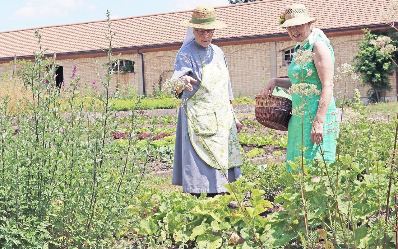Kräuterkundige: Brigitte Waser von der Heilpflanzenschule Sattel (rechts) besucht die Gartenführung auch mit ihren Schülerinnen.