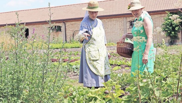 Kräuterkundige: Brigitte Waser von der Heilpflanzenschule Sattel (rechts) besucht die Gartenführung auch mit ihren Schülerinnen.