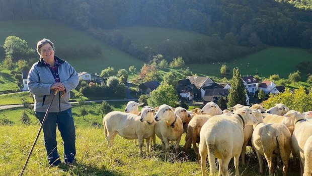 Die Baselbieterin Katharina Bitterli züchtet Nolana-Schafe. Diese Rasse verliert im Frühjahr ihr Winterfell und muss daher nicht mehr geschoren werden. Kosten und Aufwand rund um die Schur erübrigen sich damit. 