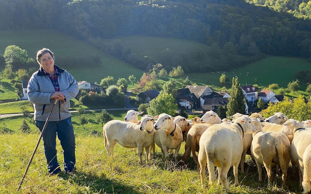 Die Baselbieterin Katharina Bitterli züchtet Nolana-Schafe. Diese Rasse verliert im Frühjahr ihr Winterfell und muss daher nicht mehr geschoren werden. Kosten und Aufwand rund um die Schur erübrigen sich damit. 