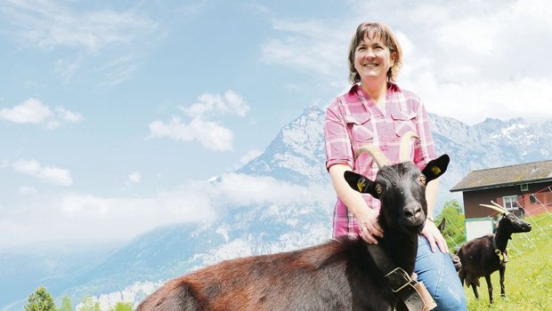 Helen Zurfluh und ihre Nera-Verzasca-Ziegen auf dem Heimbetrieb in Erstfeld UR. Den Sommer verbringen die Tiere auf der Alp und die Bäuerin beim Heuen.