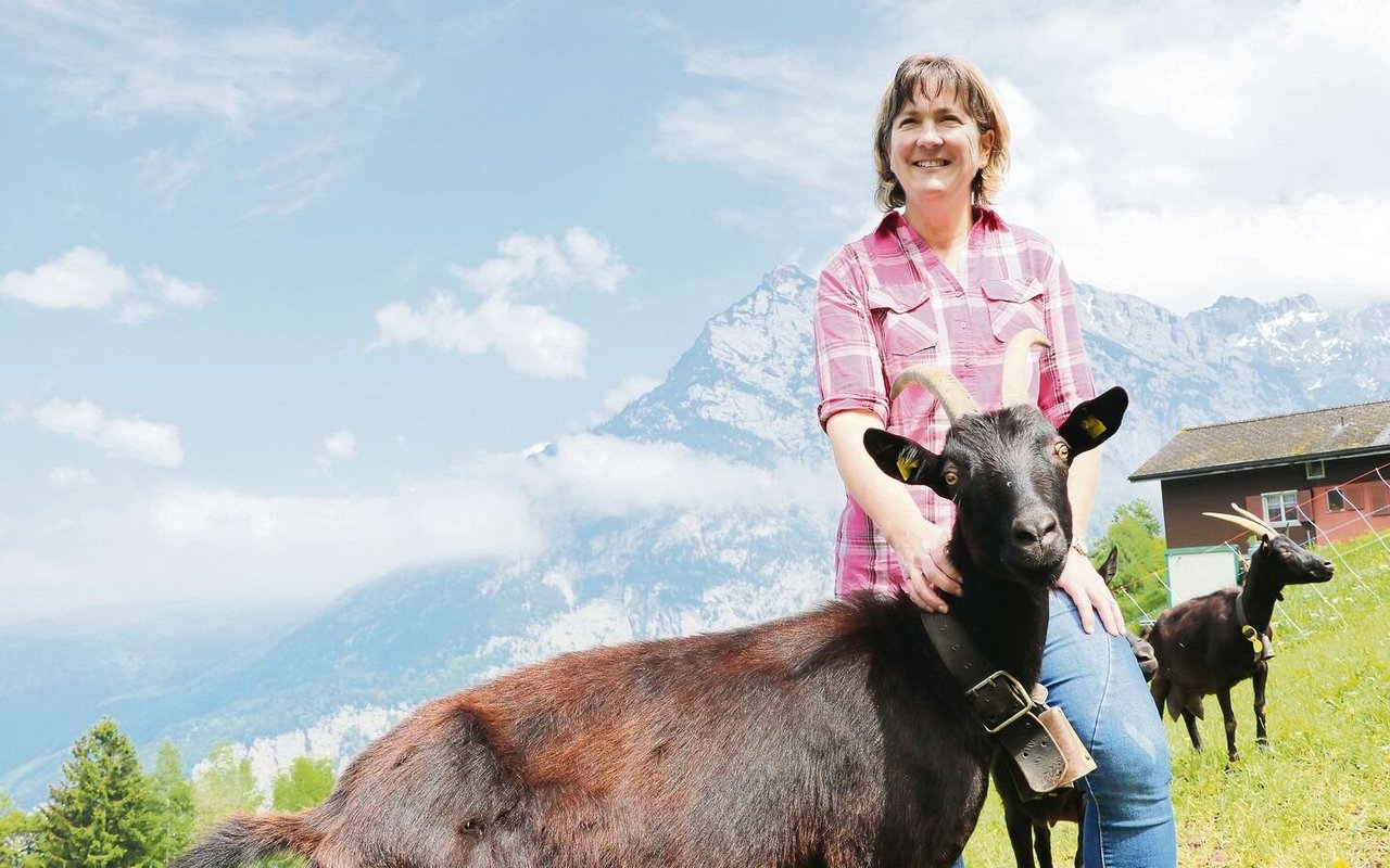 Helen Zurfluh und ihre Nera-Verzasca-Ziegen auf dem Heimbetrieb in Erstfeld UR. Den Sommer verbringen die Tiere auf der Alp und die Bäuerin beim Heuen.
