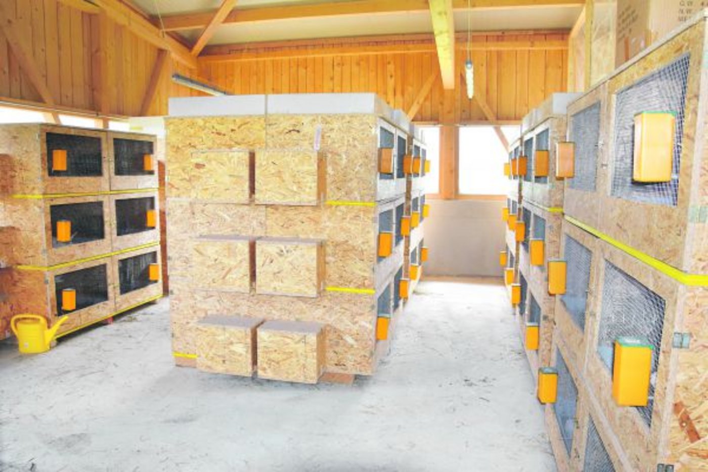 Einzelhaltung für die Elterntiere: Zwar gibt es dafür kein BTS-Geld, im Gegenzug erspart man sich Probleme in den Gruppen. 