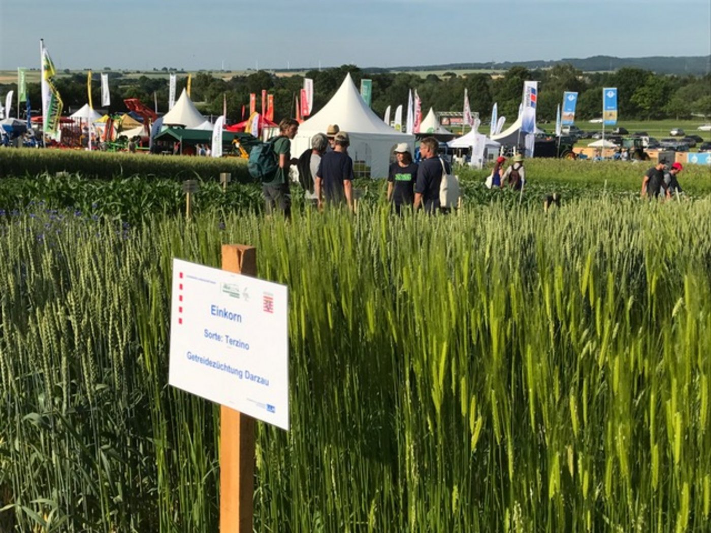 Treffpunkt der Branche: Zu den Feldtagen kamen viele Ackerbauern, ob nun Bio oder Konventionell. (Bild akr)
