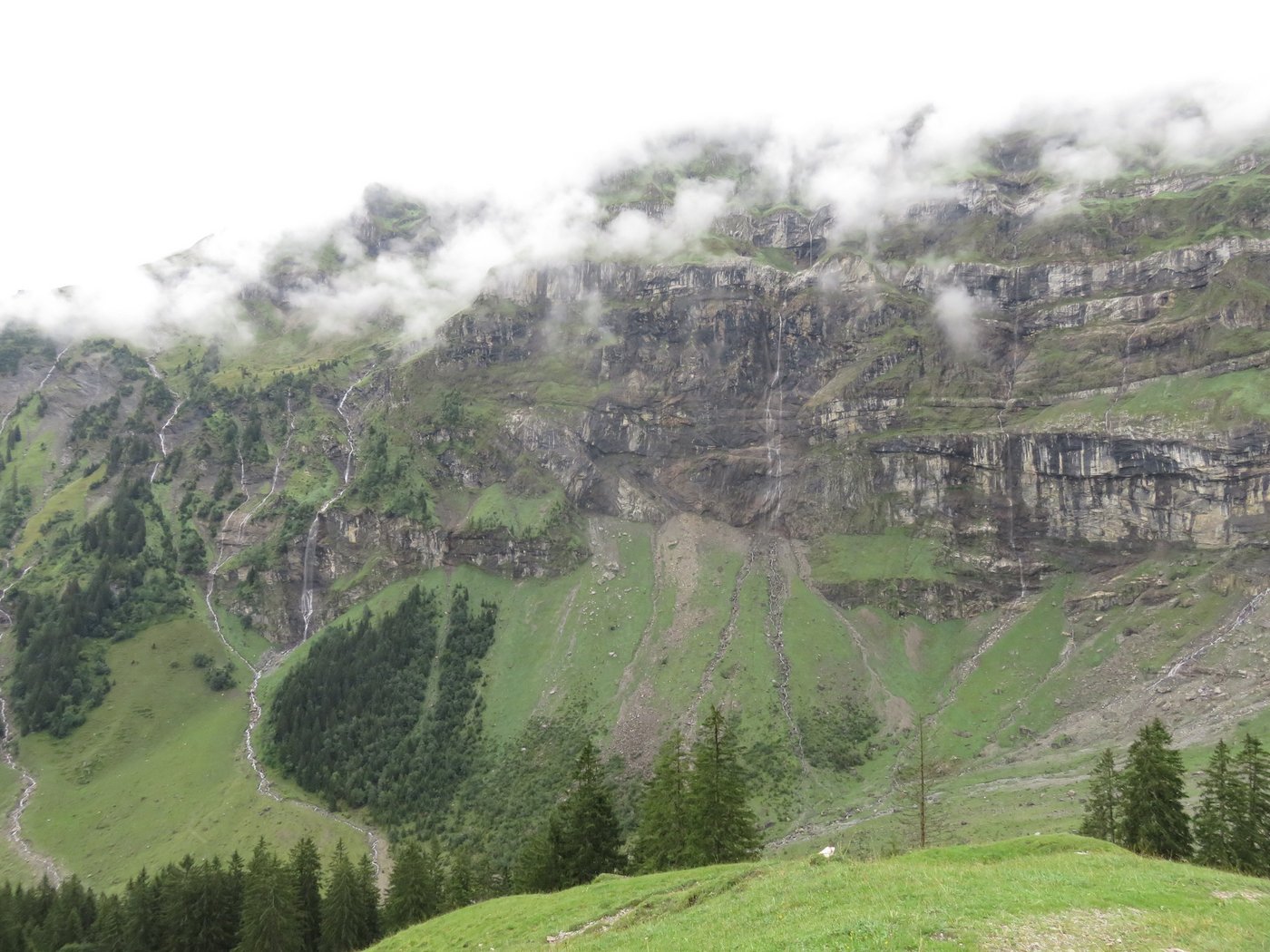 DIe Musenalp ist bisher von der Trockenheit verschont worden. Diverse Quellen sorgen für saftig grüne Alpwiesen.