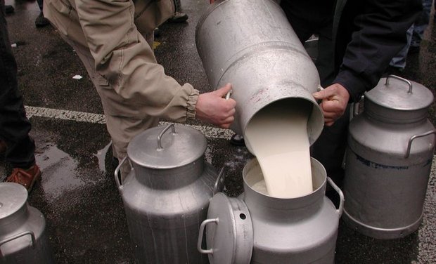 Während Bauern für das Kilogramm Milch nach einem halben Jahr mit steigenden Preisen Ende 2013 noch 69,3 Rappen erhalten hatten, waren es Ende März noch 67,88 Rappen. (Bild: BauZ)