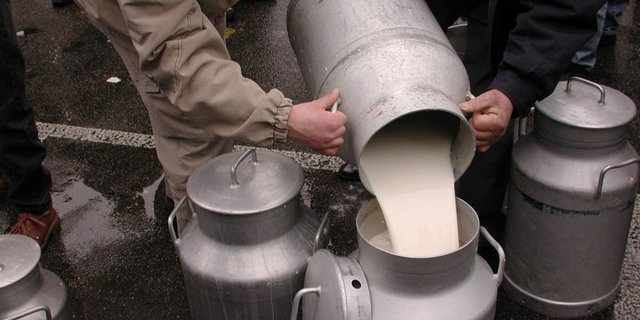 Während Bauern für das Kilogramm Milch nach einem halben Jahr mit steigenden Preisen Ende 2013 noch 69,3 Rappen erhalten hatten, waren es Ende März noch 67,88 Rappen. (Bild: BauZ)