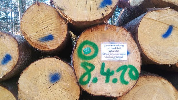 Zwar ist eine Insektizid-Behandlung von Holz im Wald eine absolute Ausnahme, man könnte deren Anzahl aber noch reduzieren, (Bild Vera Grubenmann)