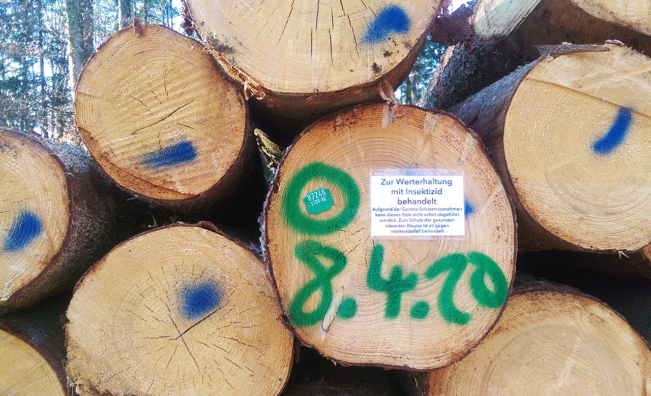 Zwar ist eine Insektizid-Behandlung von Holz im Wald eine absolute Ausnahme, man könnte deren Anzahl aber noch reduzieren, (Bild Vera Grubenmann)