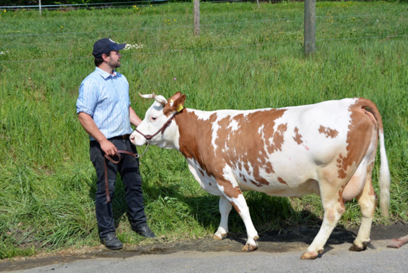 Die Vize-Schöneuter: Franca, Berger Hansueli u. Kathrin, Oberfrittenbach BE.