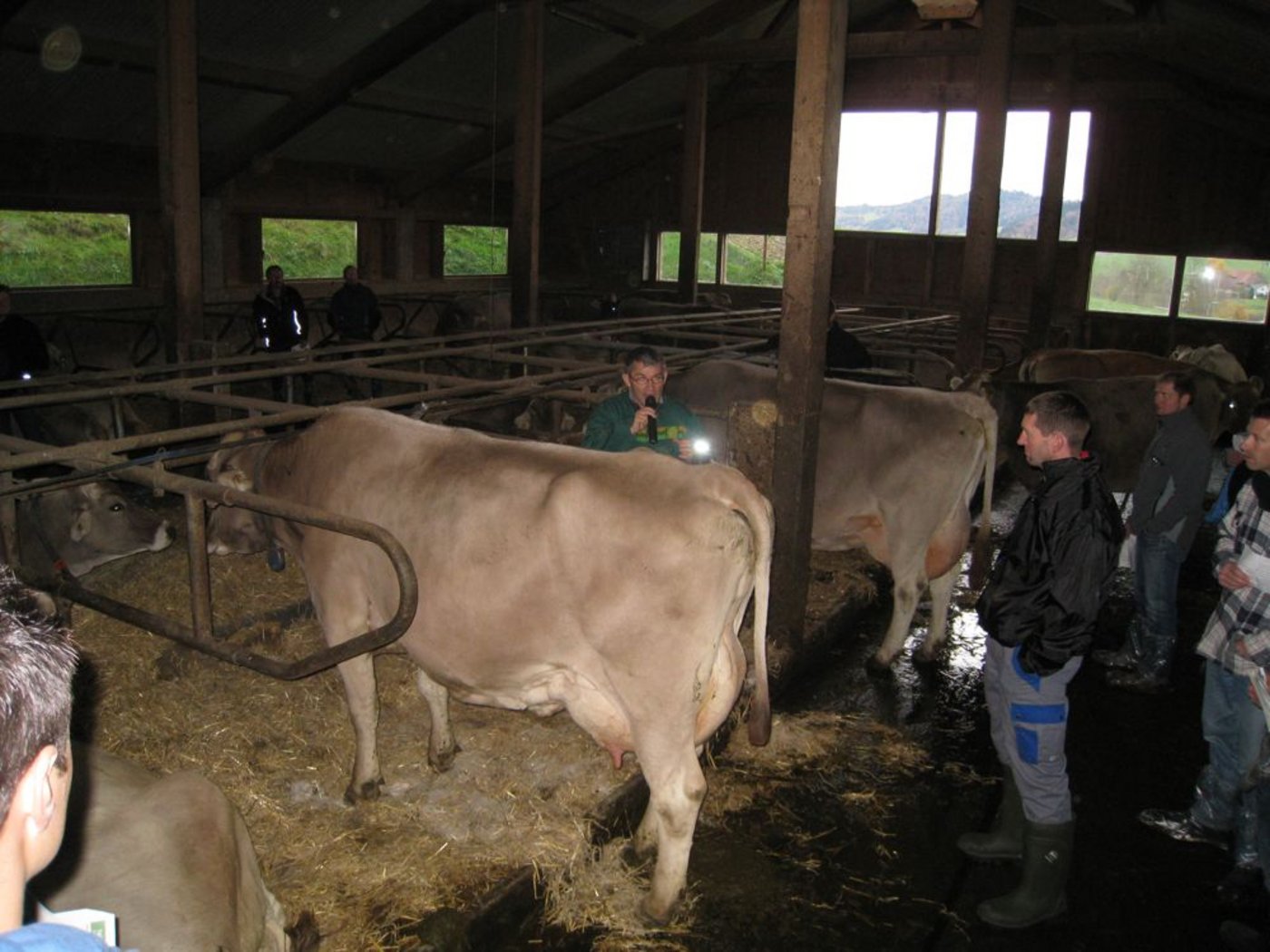 Kuhsignal-Trainer Christian Manser referierte im Stall von Milchproduzent Josef Gasser. (Bild zVg)