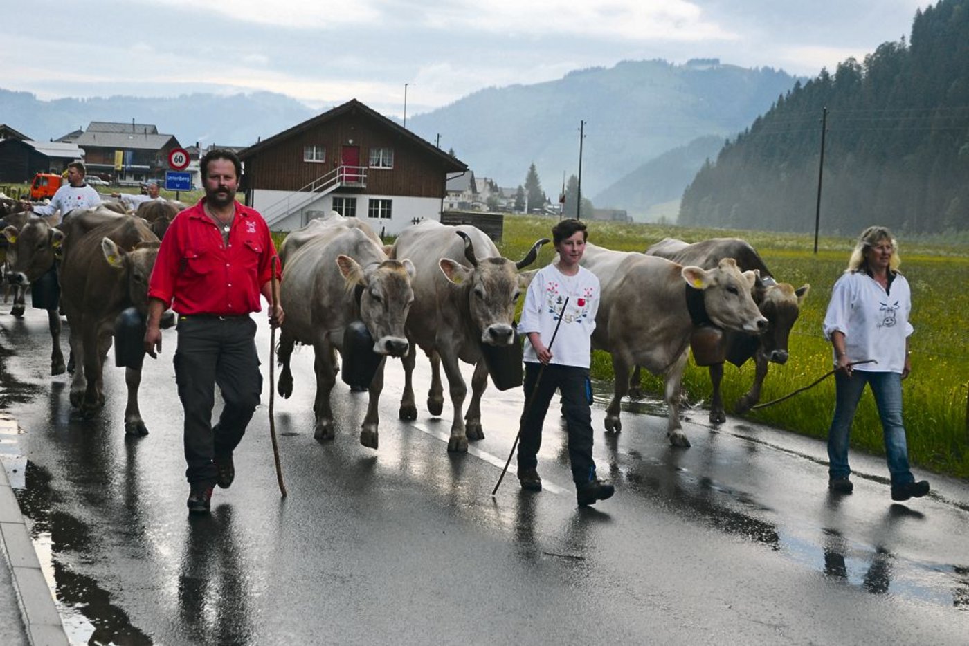 Mit zügigen Schritten geht es bergwärts. Die Leitkuh mit Hörnern gibt trotz ihren 13 Jahren den Takt an. Sie würde auch alleine den Weg finden, sind sich alle einig. Auch René, Selina und Astrid (v. l. n. r) geniessen die Alpauffahrt. (Bilder Peter Fankhauser)