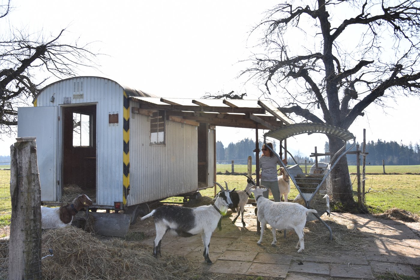 Für viele Leute waren die Malkurse eine willkommene Abwechslung im Lockdown. (Bild BauernZeitung/sjh)