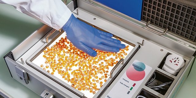 «Grainigo» ist ein Gerät zur Analyse von Maiskörnern, das sich direkt auf dem Acker anwenden lässt. Damit lässt sich prognostizieren, wie sich eine bestimmte Maisauswahl bei der Verarbeitung verhalten wird.(Bild Buehler)