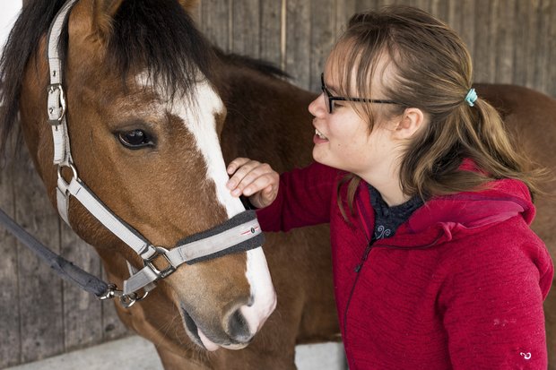 Für das Projekt ist der Pferdezuchtverband des Kantons Jura Partner und für die Suche nach geeigneten Pferden für die Kunden und die Auszahlung der kantonalen Förderbeiträge zuständig. (Bild Kanton JU)