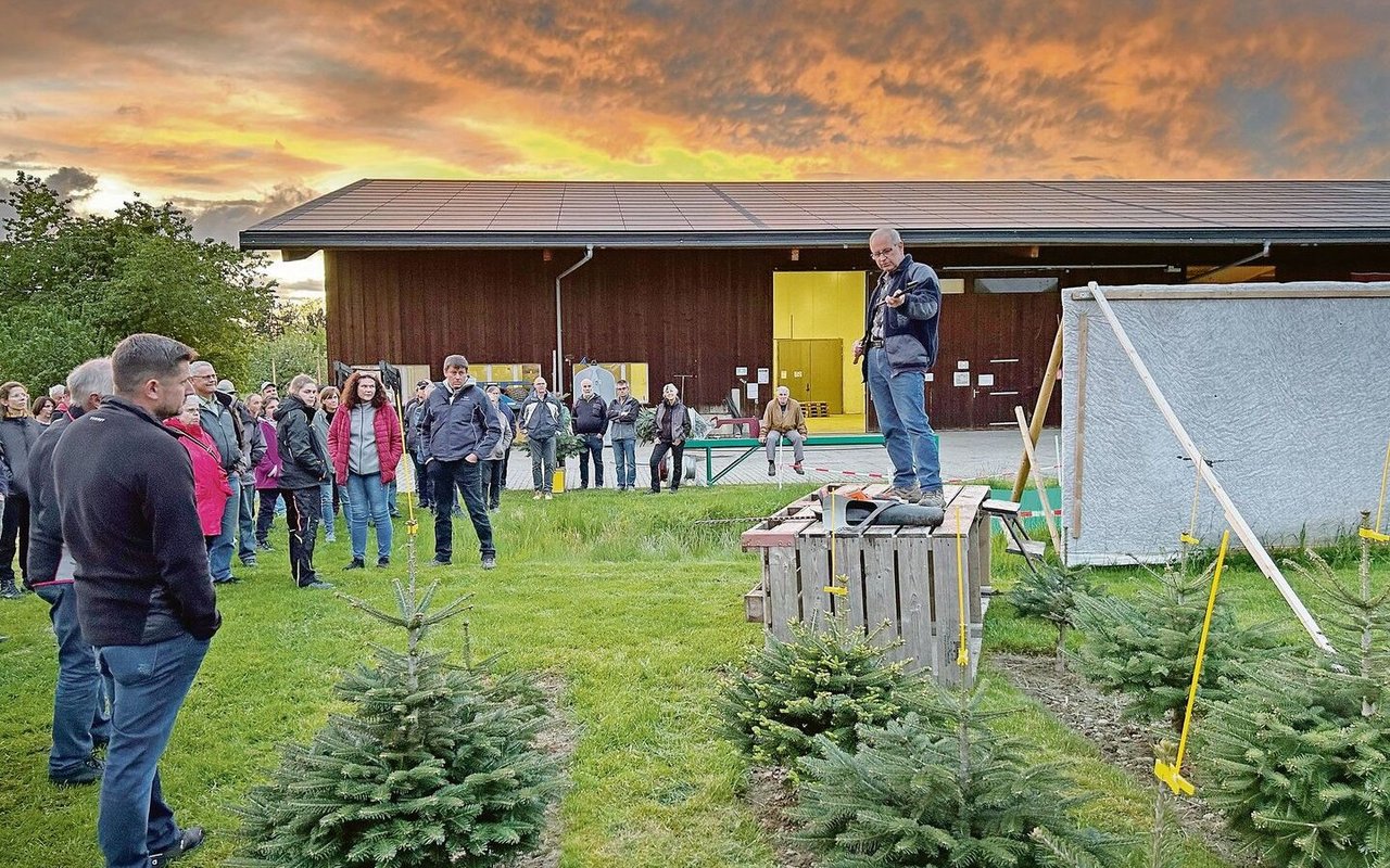 Urs Ogg, rechts auf dem Podest stehend, weihte die Teilnehmerinnen und Teilnehmer in die Christbaumproduktion ein. 