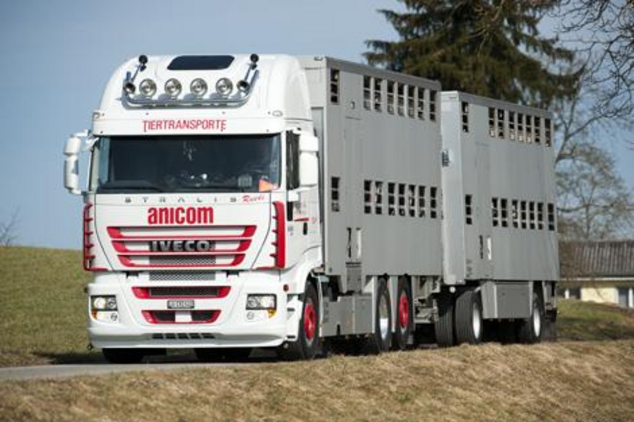 Die guten Produzentenpreise für Schweinehalter wirkten sich auch auf Anicom positiv aus. (Bild zVg)