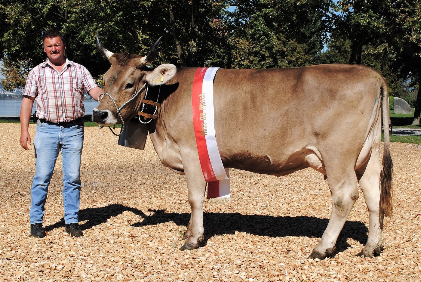 Miss OB March Joel Arnika von Urs Reichmuth, Altendorf.