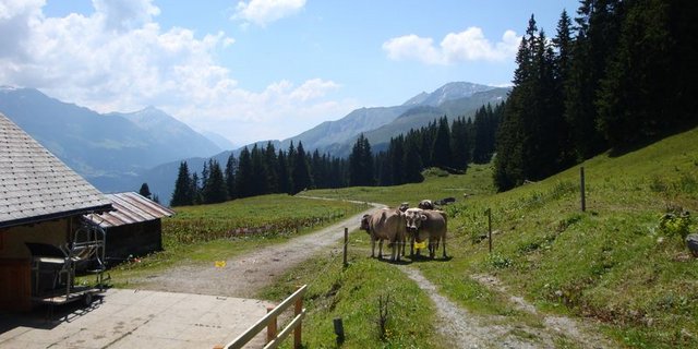 Vom Wohnraum bis zur Käseherstellung: Die Anforderungen sind gestiegen. (Bild lid) 