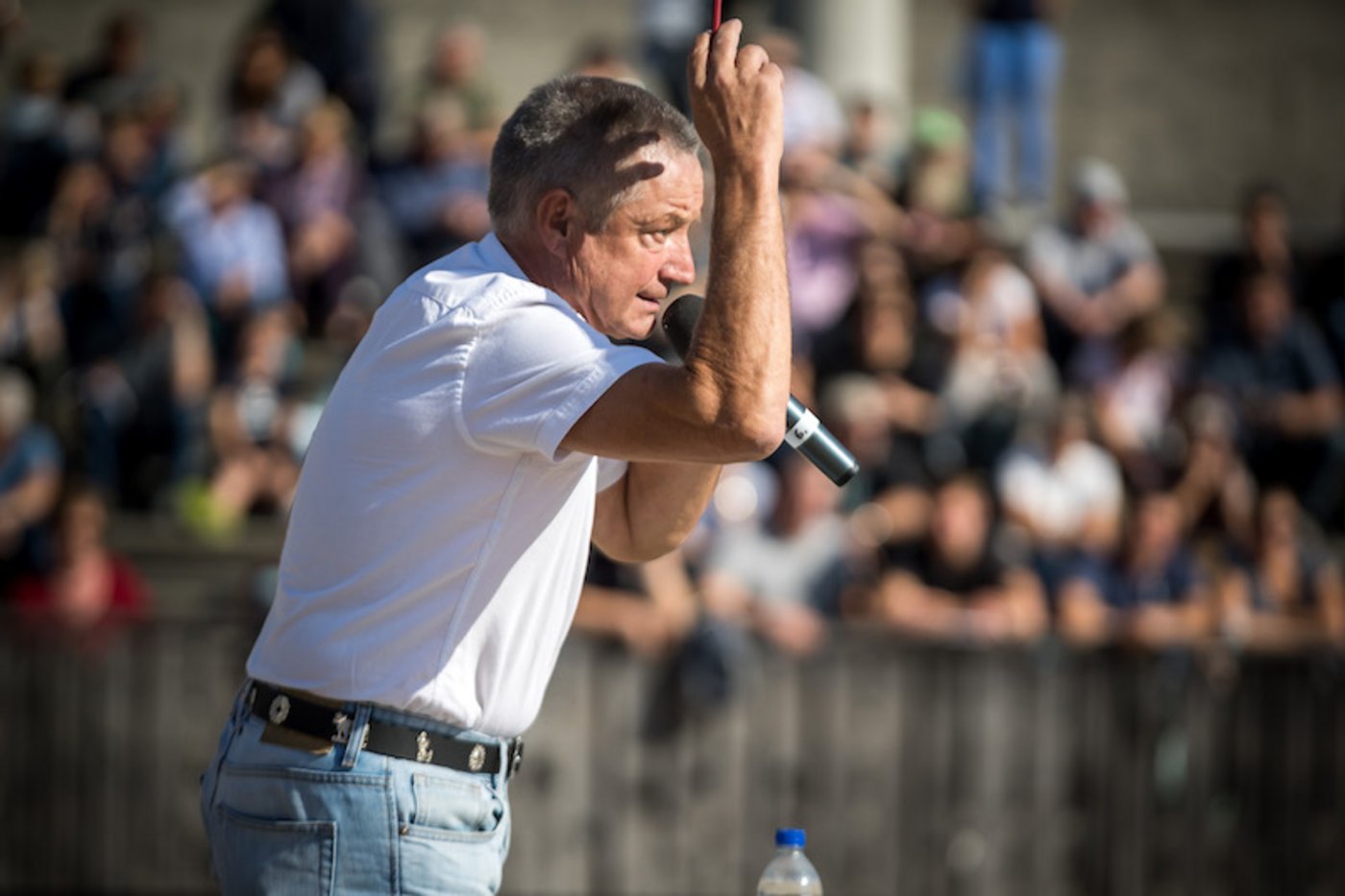 Die Braunvieh-Auktion verlangt konzentration beim Richter. (Bild zVg) 