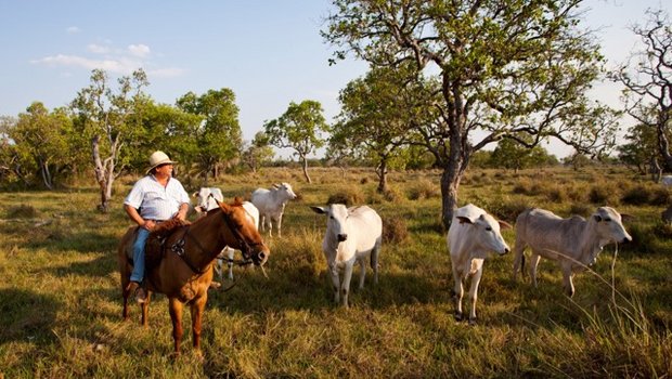 Ein Gaucho mit seiner Herde in der Abendsonne in Brasilien. So idyllisch sieht die Fleischproduktion in den Mercosur-Staaten laut Markus Zemp in den meisten Fällen nicht aus. (Bild Keystone)