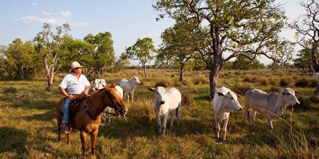 Ein Gaucho mit seiner Herde in der Abendsonne in Brasilien. So idyllisch sieht die Fleischproduktion in den Mercosur-Staaten laut Markus Zemp in den meisten Fällen nicht aus. (Bild Keystone)
