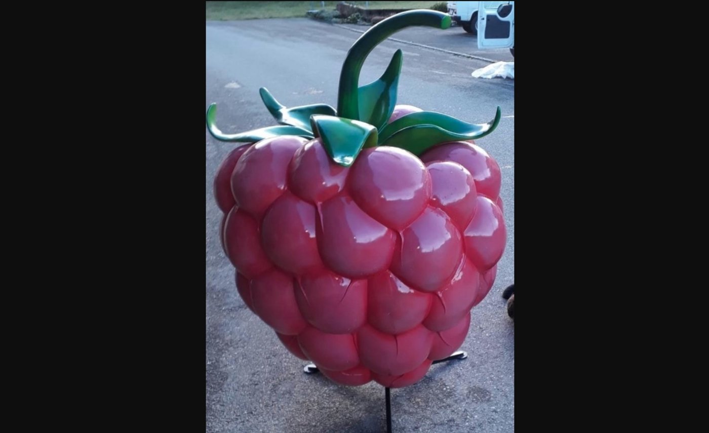 Die XXL-Himbeere ist eine Rarität. Nur drei Exemplare gibt es davon in der Schweiz. (Bilder 20 Minuten)