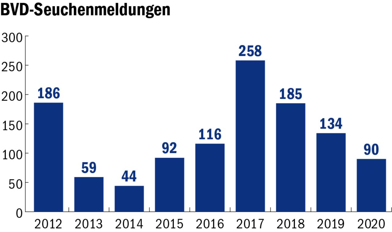 Seit 2017 sind die BVD-Fallzahlen rückläufig. (Grafik mi, Quelle BLV)