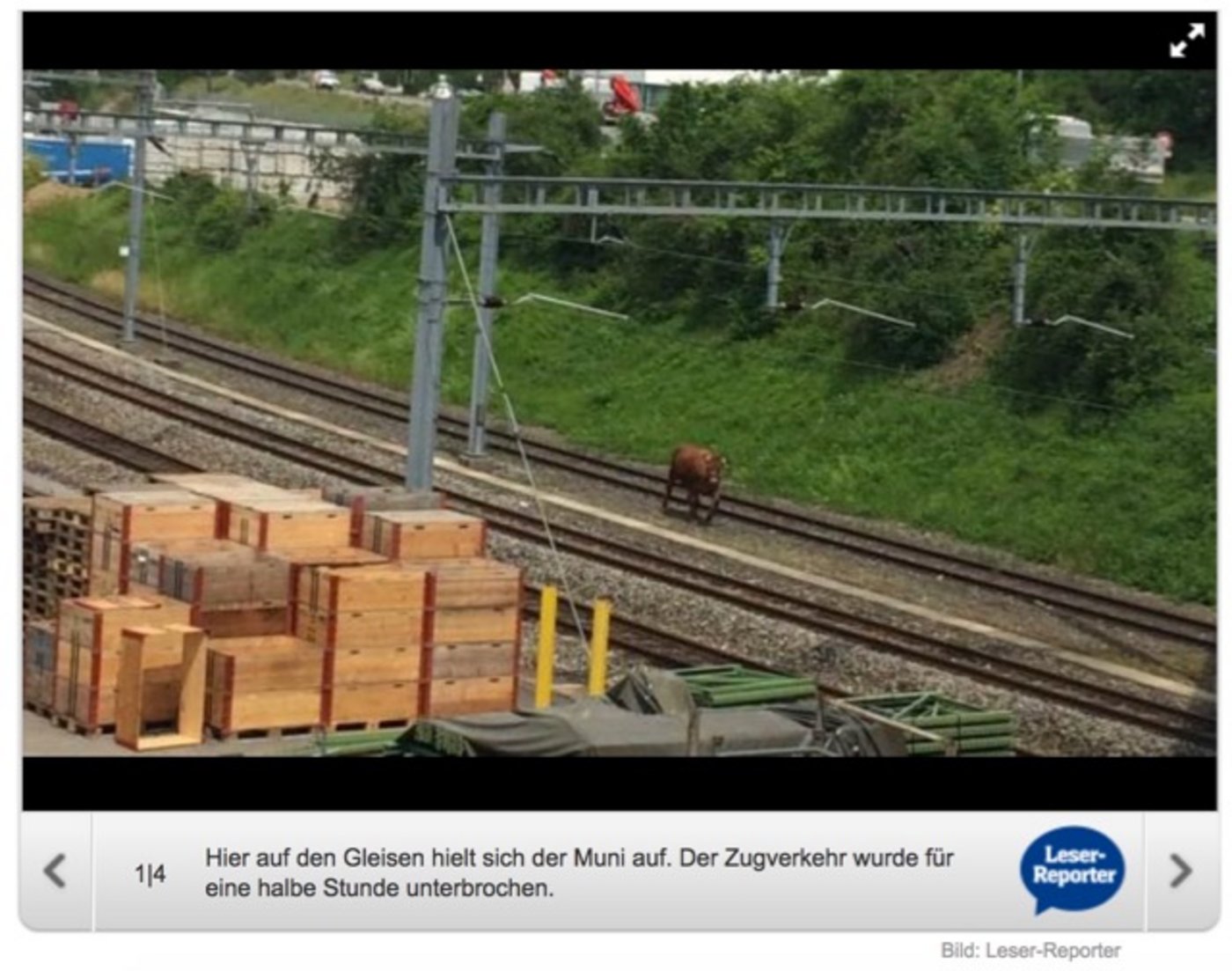 So berichtet «20 Minuten» über den Vorfall. (Bild Screenshot 20 Minuten)