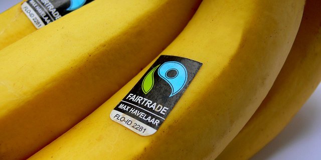 Bananen mit Fair-Trade-Gütesiegel. (Bild Maxhavel)