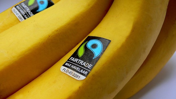 Bananen mit Fair-Trade-Gütesiegel. (Bild Maxhavel)