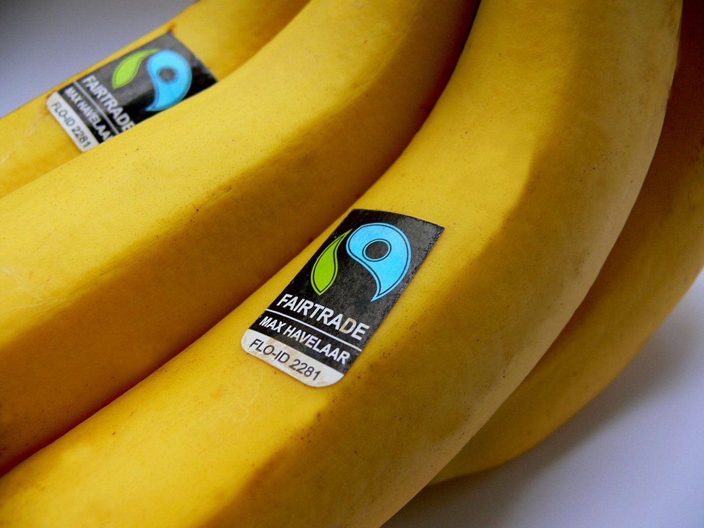 Bananen mit Fair-Trade-Gütesiegel. (Bild Maxhavel)
