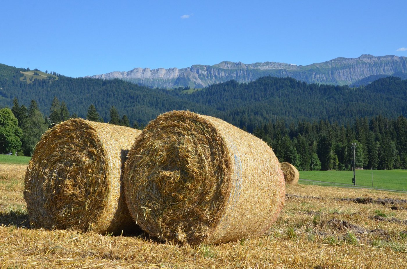Zehn Strohballen landeten auf der Strasse. (Symbolbild BauZ)