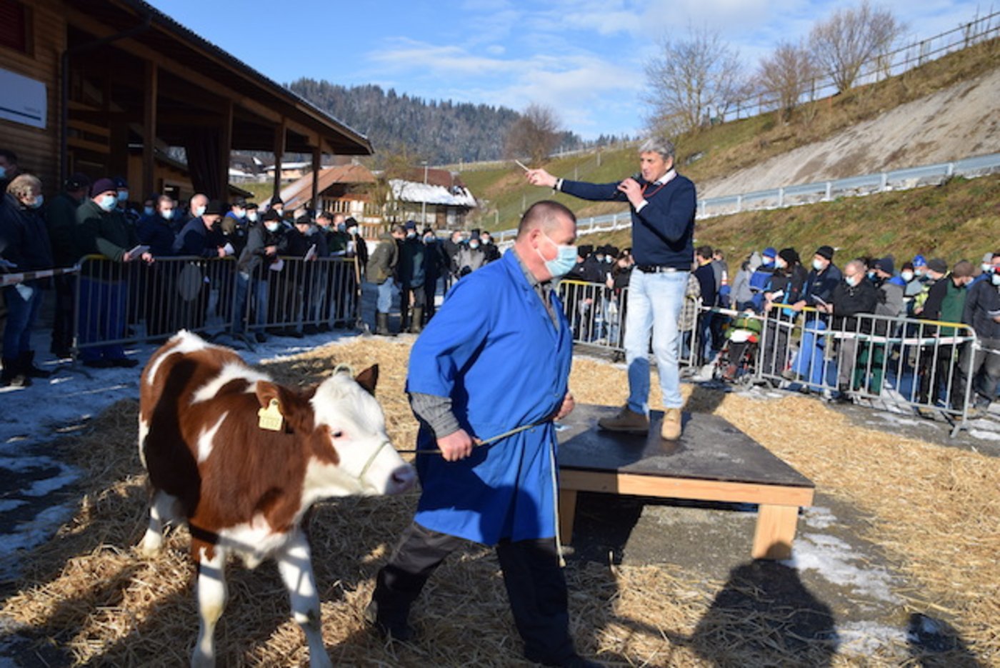 Das am 26. August 2020 geborene SF-Kalb Florino Ramona von Hans Ramseier, Zollbrück BE, konnte für 1300 Franken zugeschlagen werden. 