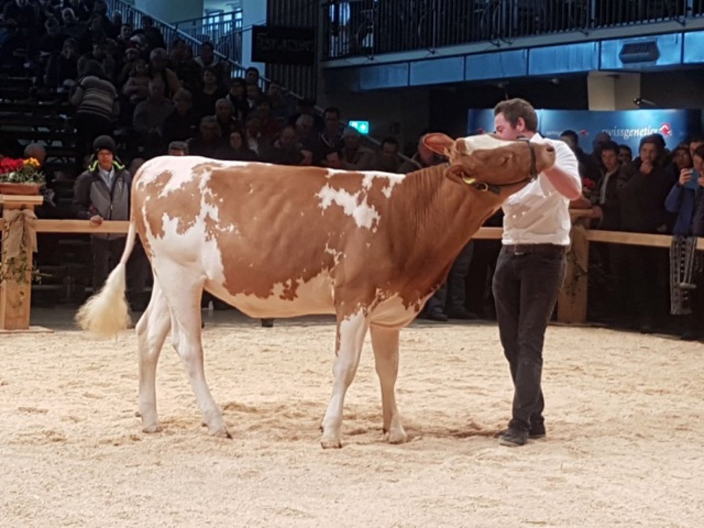 Adrian Zürcher und seine Perle: Pearl. 