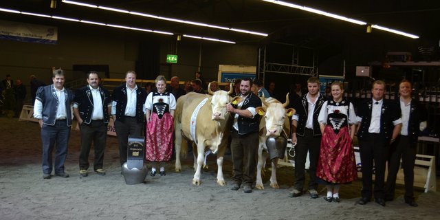 Roman Ariel (rechts) von Thomas und Reto Gerber aus Süderen wird Senior Miss der Eliteschau der Reintzuchtzuchtausstellung in Thun BE. Den Senior Schöneutertitel holt sich Bergermatten Unic Akaley von Jakob und Michael Berger aus Milken BE. (Bild pf/sb)