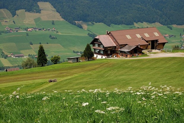 Flächenmässig wachsen Betriebsgemeinschaften zwar, ihre Zahl aber nimmt ab. (Bild Simon Koopmann)