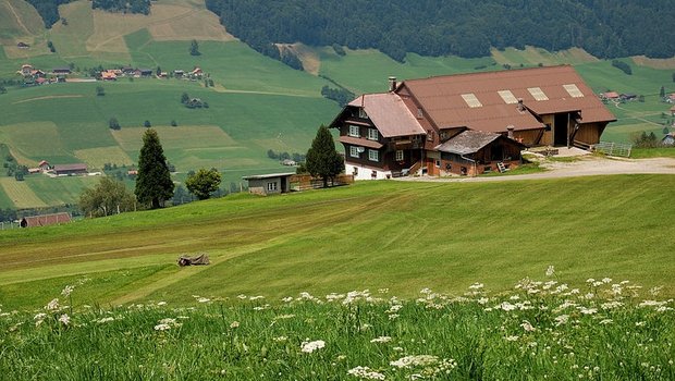 Flächenmässig wachsen Betriebsgemeinschaften zwar, ihre Zahl aber nimmt ab. (Bild Simon Koopmann)