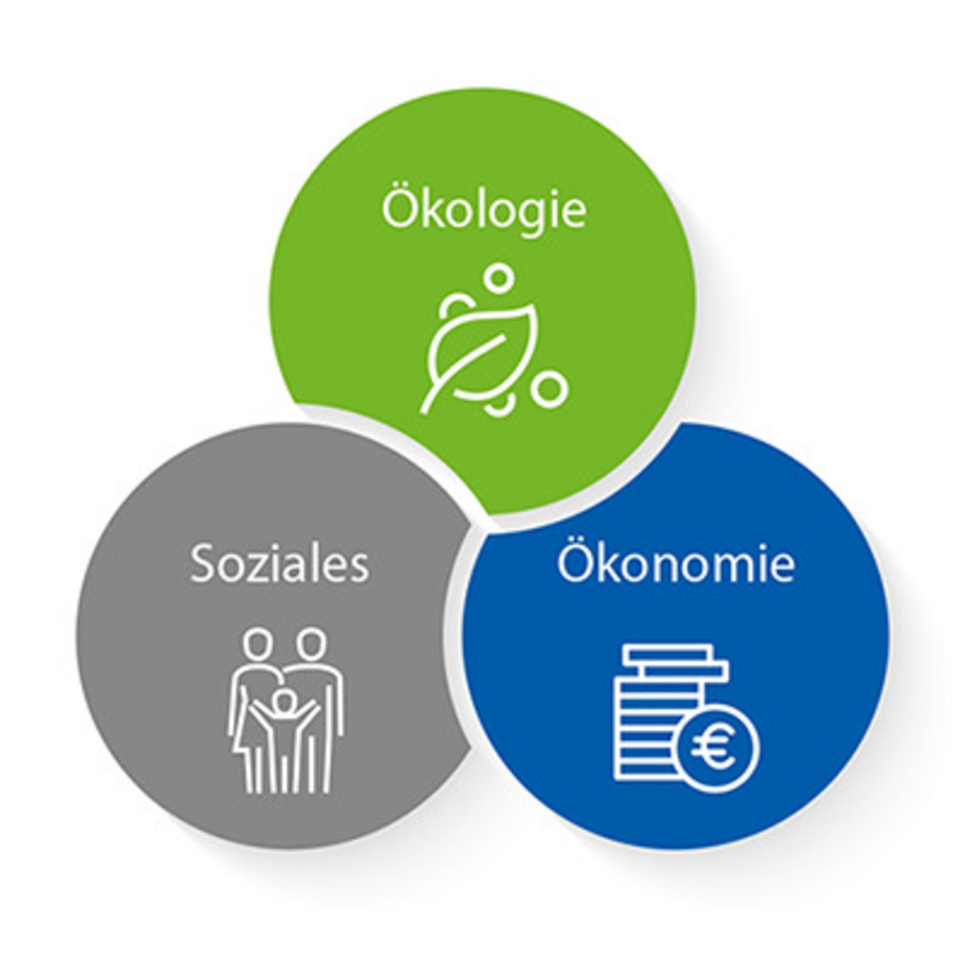 Im häufigsten Modell der Nachhaltigkeit werden die drei Dimensionen als Kreise dargestellt. Nachhaltigkeit wäre in der Mitte (im Schnittpunkt aller Dimensionen) erreicht. (Beispielbild Vereinigte Volksbank Raiffeisenbank)