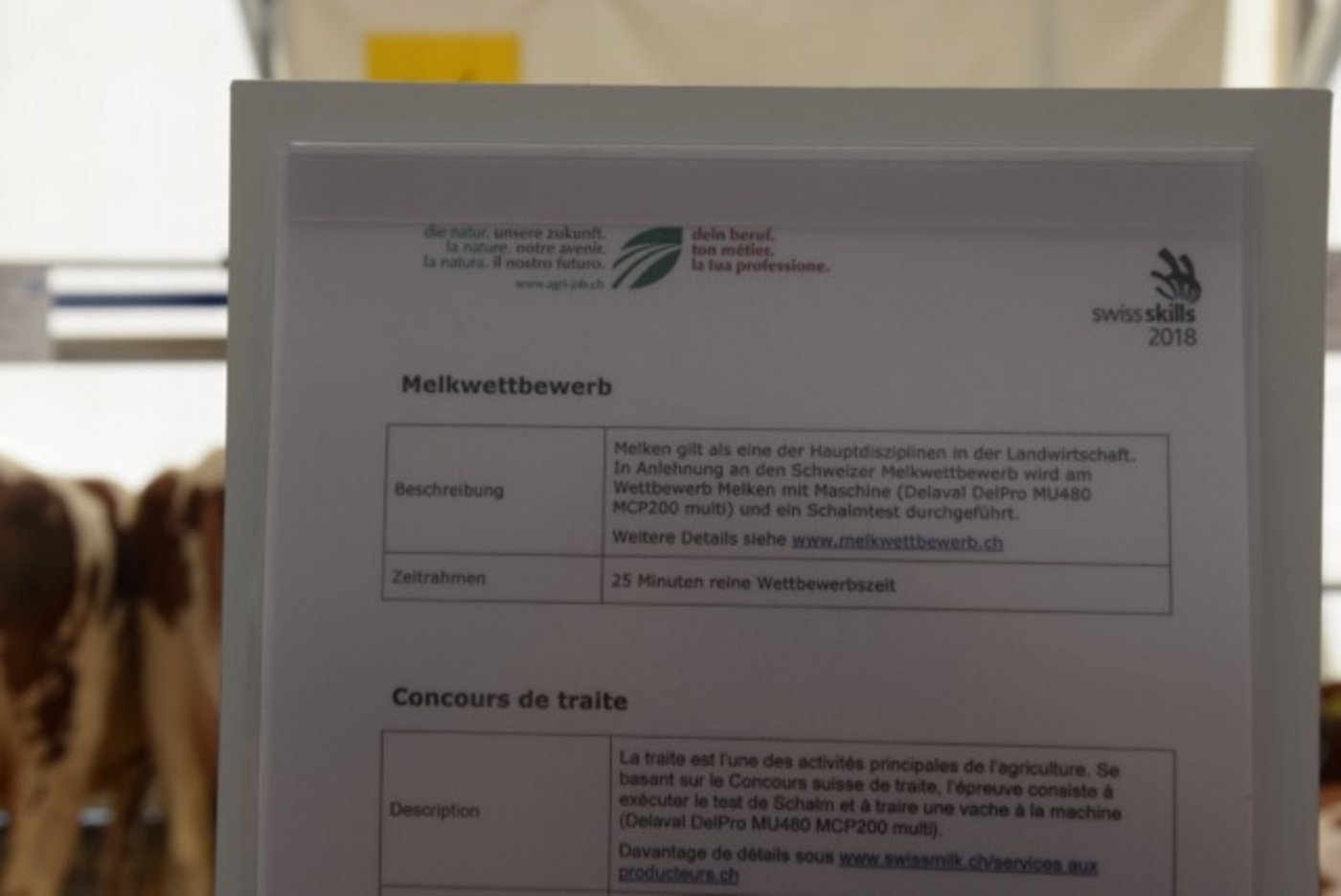 Infotafeln erklären den Besucher(innen) bei jeder Wettbewerbsaufgabe, worum es geht. 