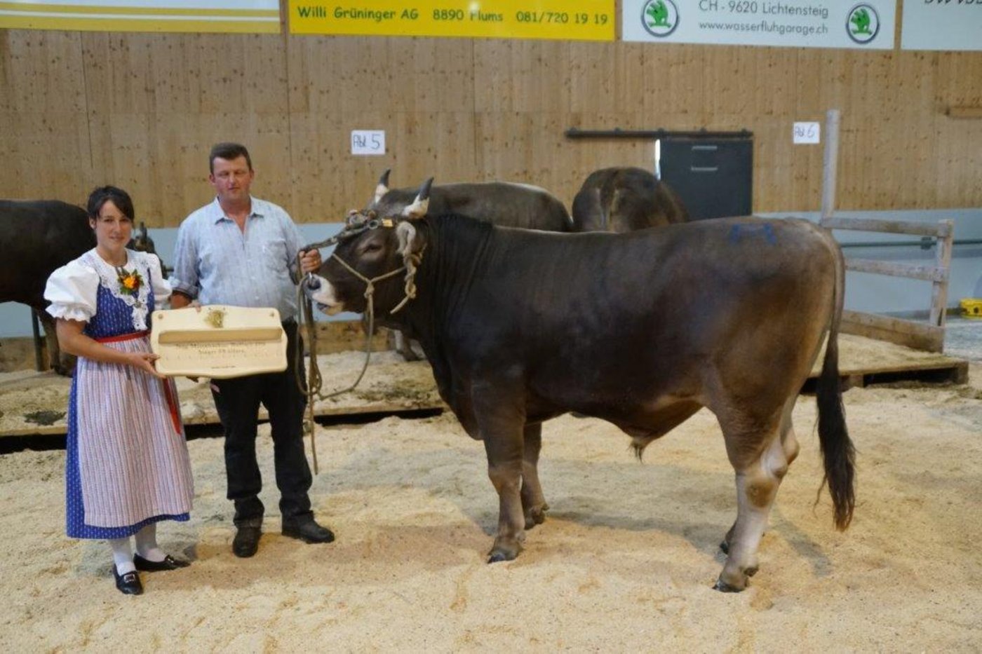 Mr. OB der älteren Stiere: Einar von Martin Schrepfer